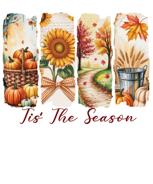 Tis The Season (Fall)